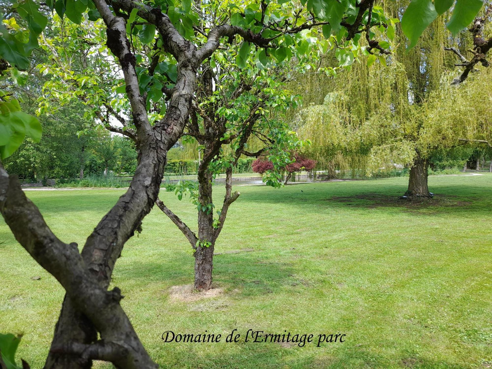 Vila Domaine De L'Ermitage Rue  Exteriér fotografie
